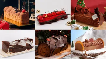 巧克力圣诞树桐蛋糕 CHOCOLATE YULE LOG CAKES 2022 Christmas
