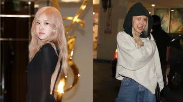 Blackpink Rose