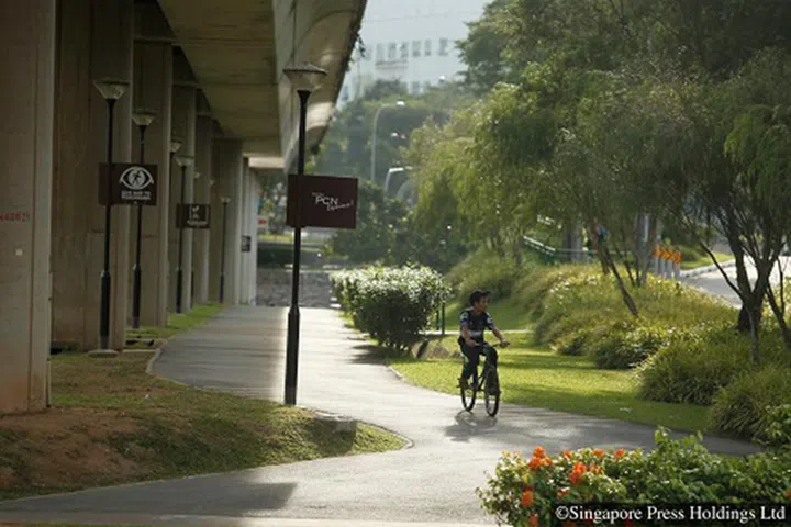 A cyclist riding on the Canberra Park Connector running under MRT tracks.