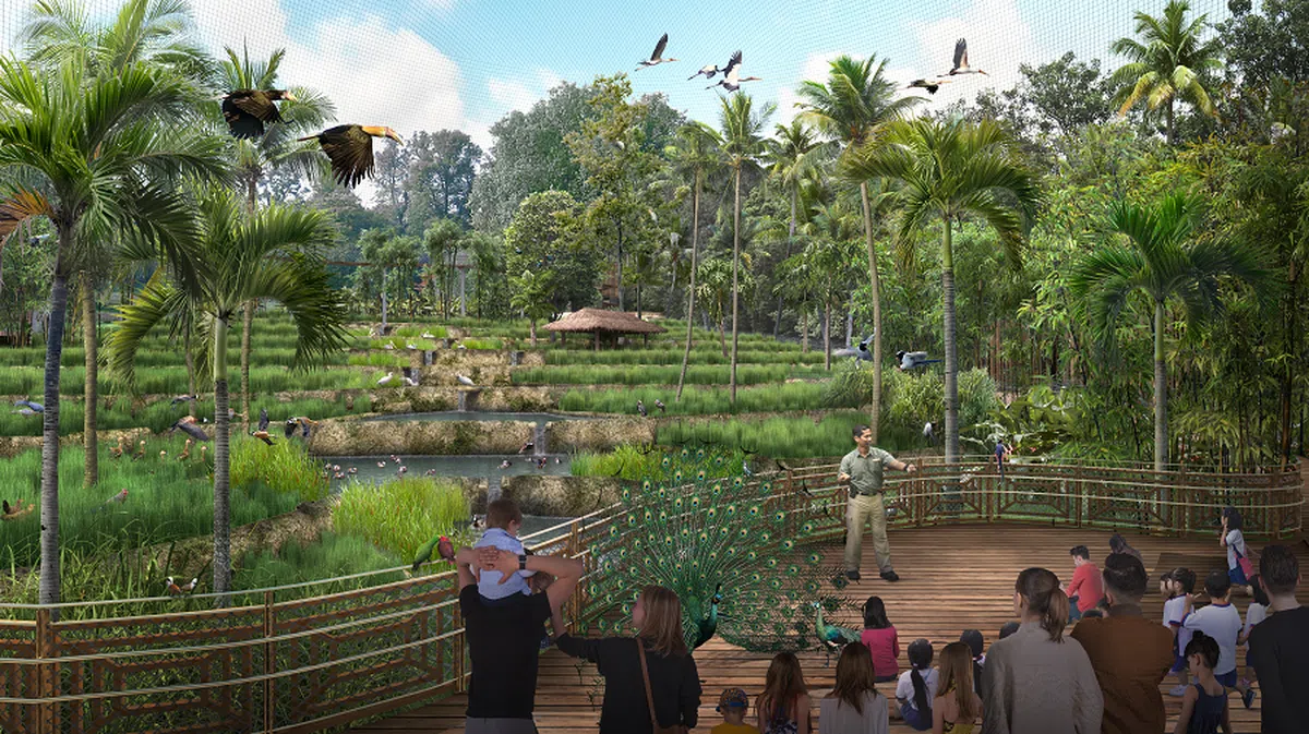 崭新新加坡飞禽公园Bird Paradise将会有八个大型鸟舍。这张构想图是模拟东南亚倾斜的水稻梯田的亚洲珍禽（Wings of Asia）鸟舍。访客在这里将有机会看鸟类喂食并参与互动活动。（万态保育集团提供）