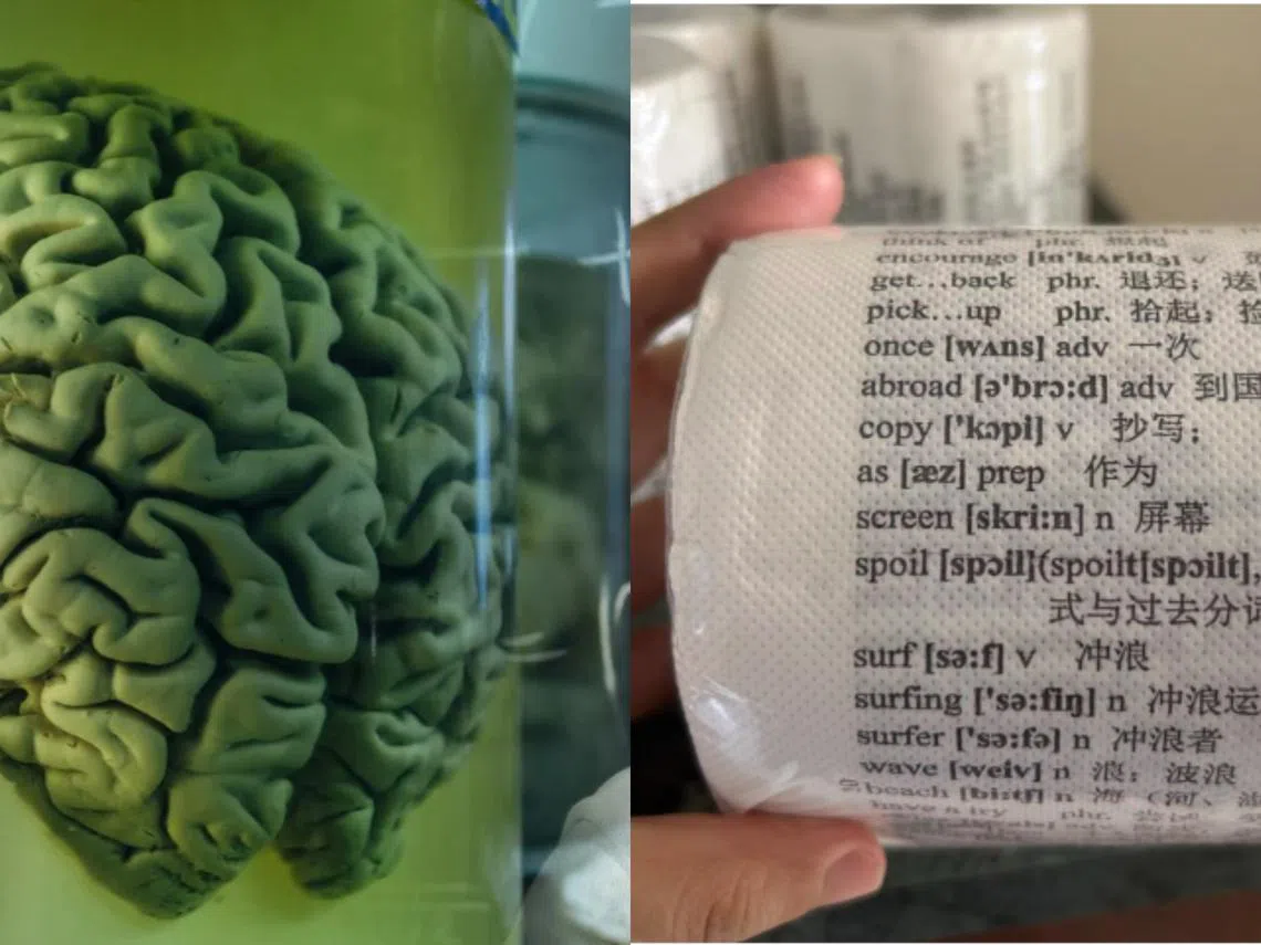 爱因斯坦大脑（左）和学霸厕纸（右）成了中国年轻人追捧的商品。（红蚂蚁制图）