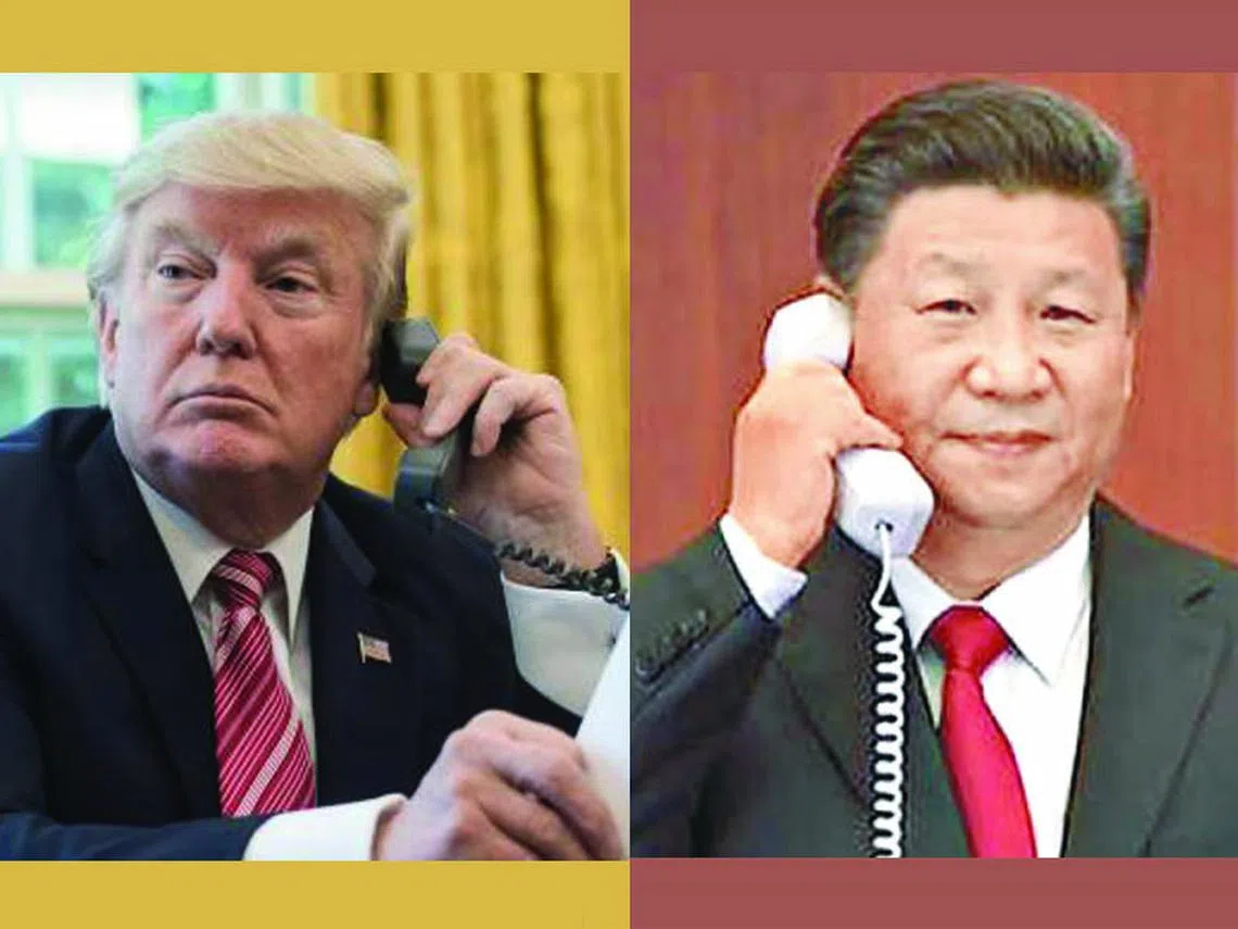 9月8日新加坡本地热词- 红蚂蚁