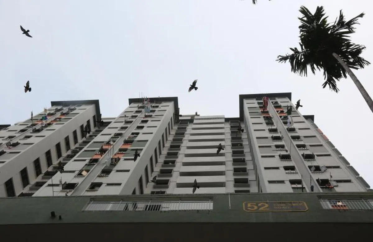  这起命案发生在牛车水附近的振瑞路第52最组屋8楼的一个租赁单位。（联合晚报） 