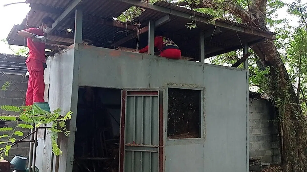 扬瓦卡尔独自住在一间只有储存室大小的破旧老屋。图为慈善组织员工帮忙整修屋顶。（取自面簿）