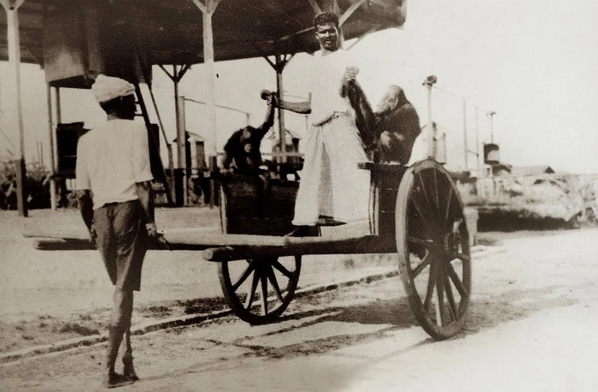 1928年，动物园搬迁到位于榜鹅滨海区（Punggol Seafront）的一处10公顷地段。（Lawrence Basapa提供）