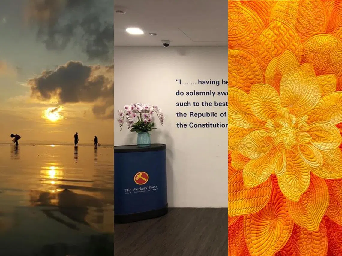 猜猜这都是哪位的面簿封面照片？