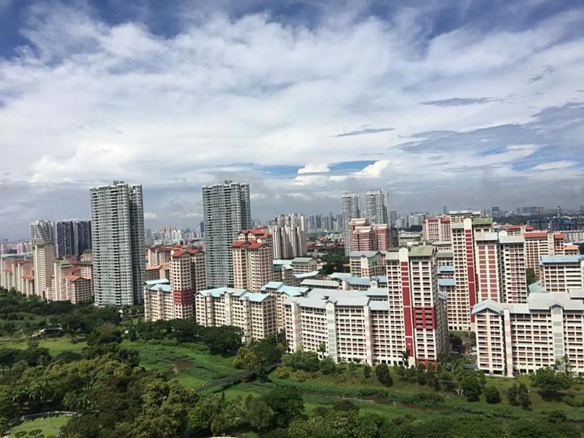  （新明日报读者提供） 