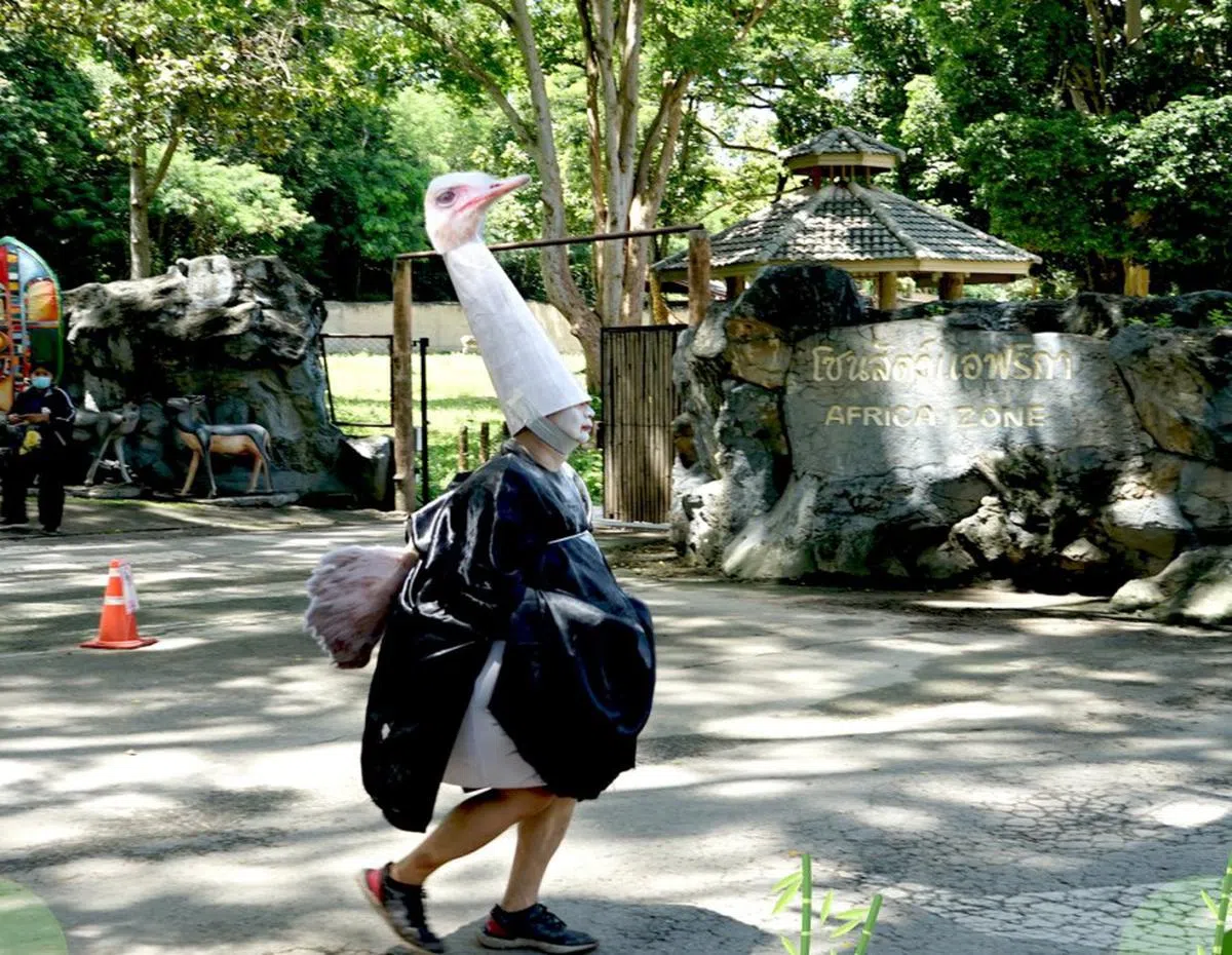 （清迈动物园面簿）