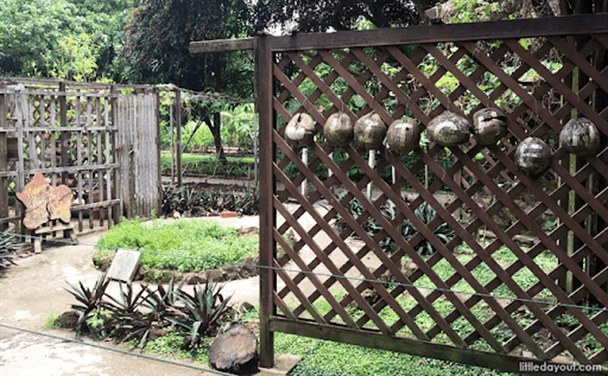  公众可以在厨房花园内看到不同品种的植物，其中不乏能被用为食材的植物。（littledayout） 