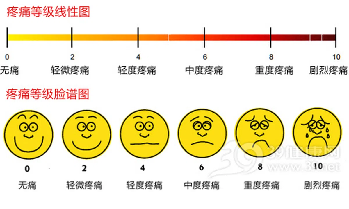  （取自互联网） 