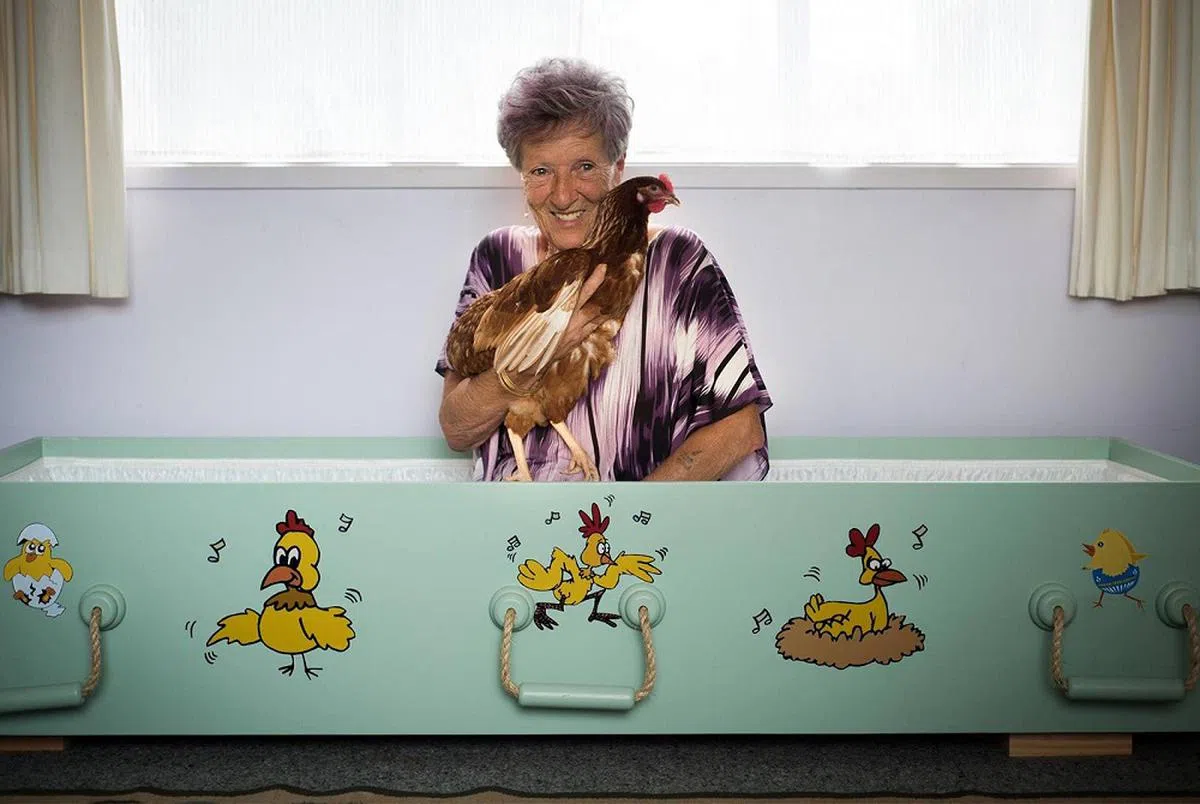 阿婆怀里的鸡表示：“我还不想死啊！”（Kiwi Coffin Club脸书）