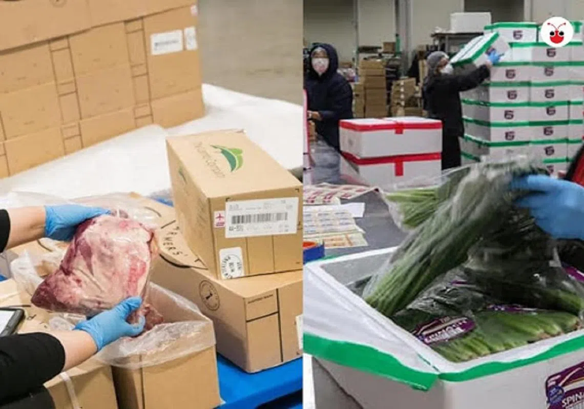 （红蚂蚁制图）