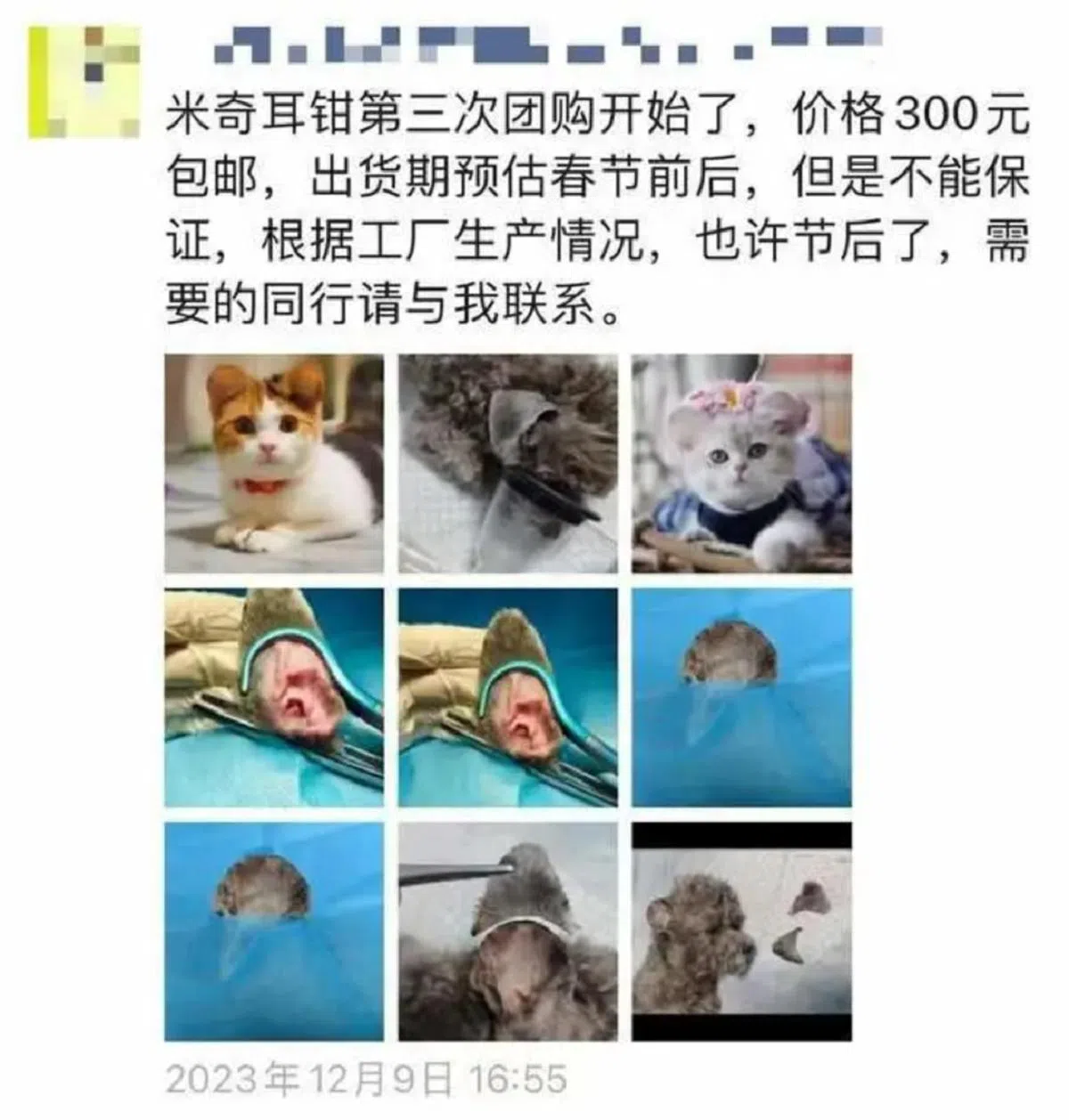 （微信截图）