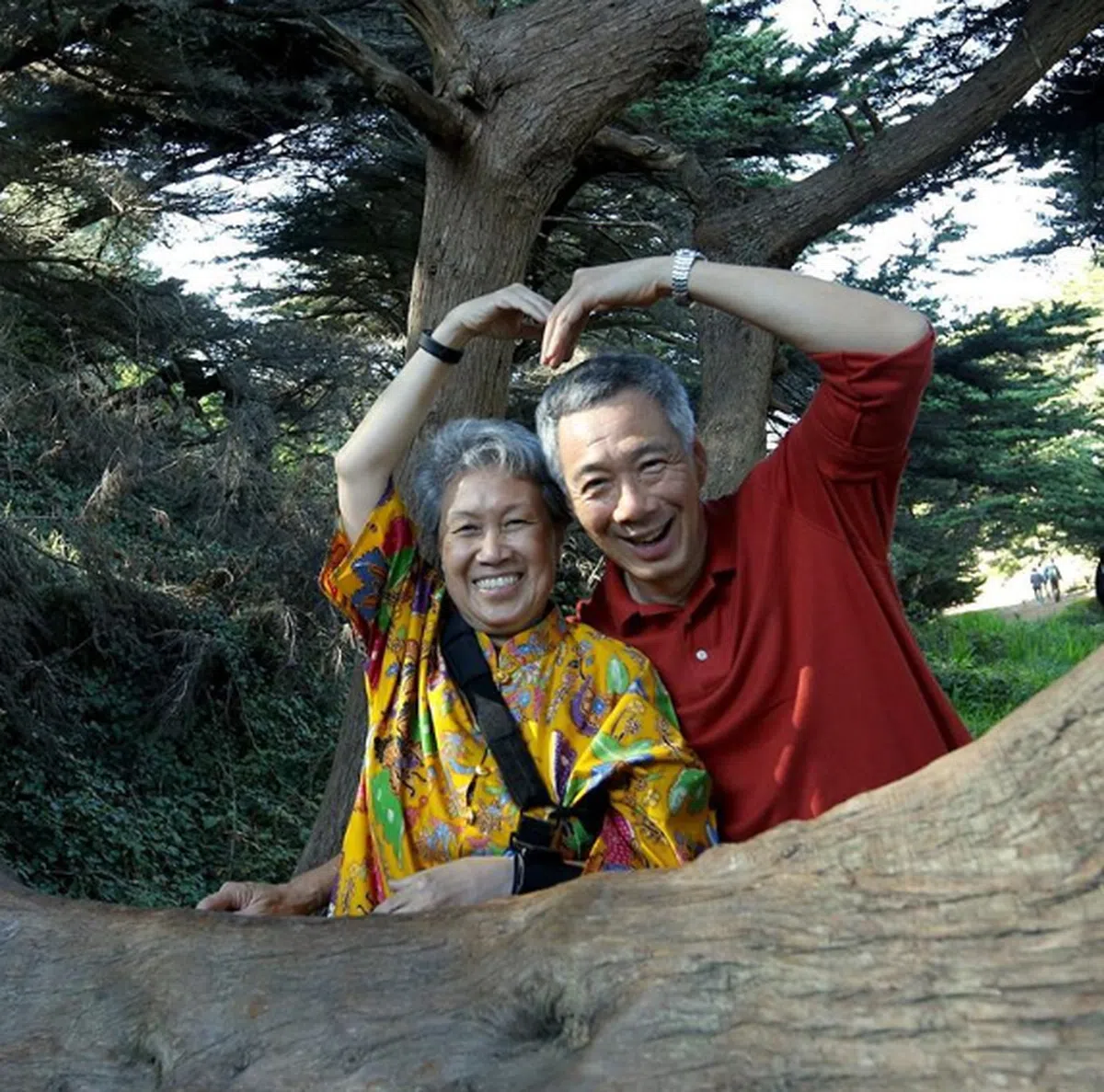  （李显龙面簿） 