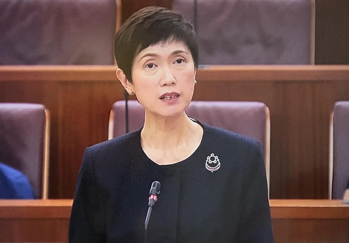  杨莉明：2008年的全球金融危机是一场经济萧条（Downturn），但我国目前的情况只是经济放缓（Slowdown）。（国会视频截图） 