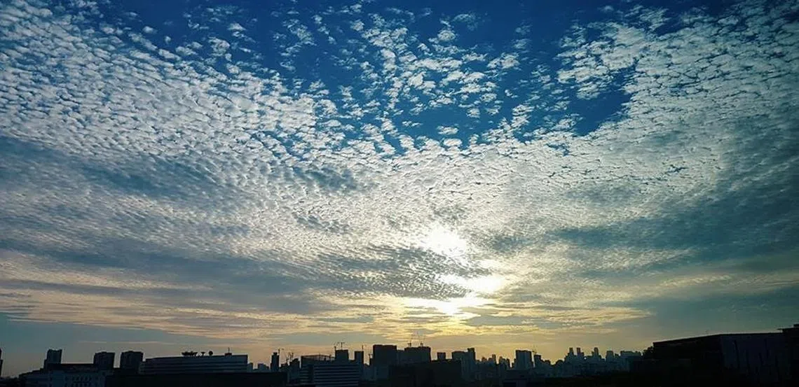 早起的鸟儿有美景看。（取自王蝶琪面簿）