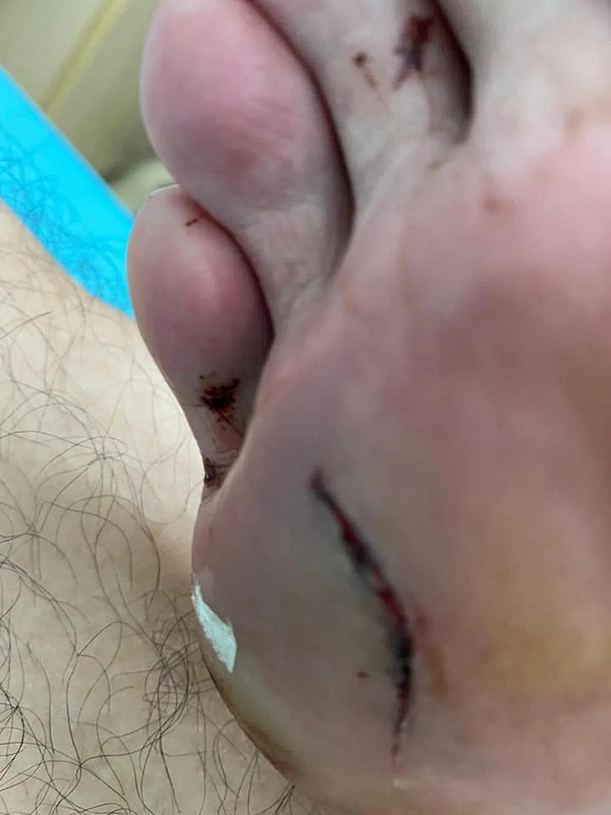  （Stephanie Chu面簿） 