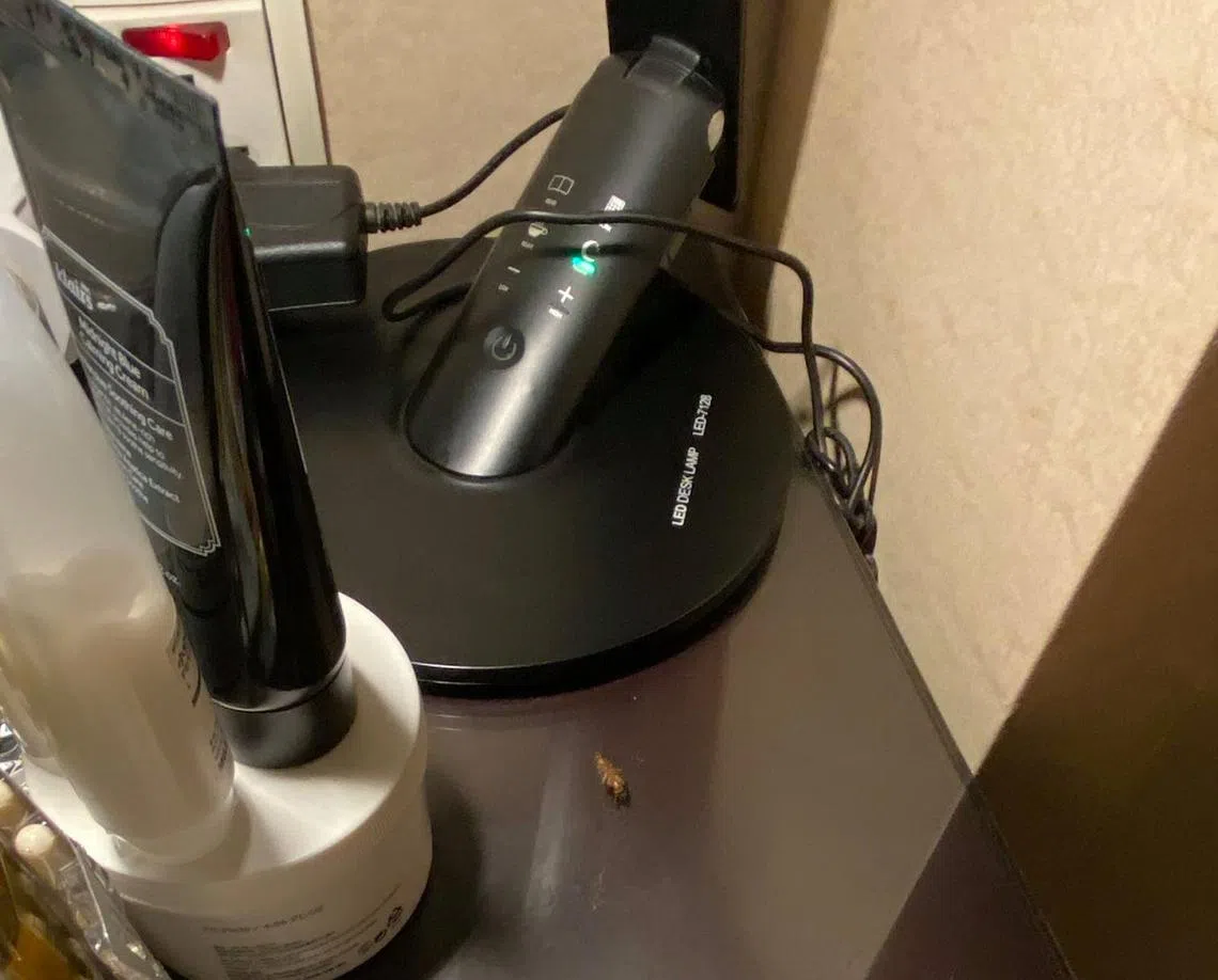 李知修入住新加坡国敦河畔大酒店客房时，发现床边的矮柜有蟑螂出没。（受访者提供）