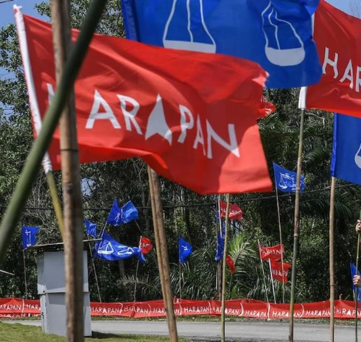  补选旗帜。（今日大马） 