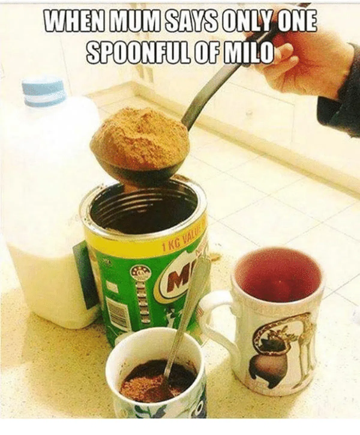  网友自制表情包——标题为“当妈妈说只能喝一勺美禄时”。（互联网） 