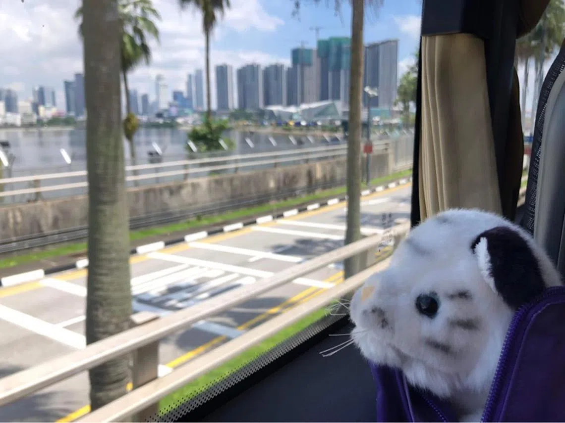 马来西亚，我们回来了。（卢丽珊摄）