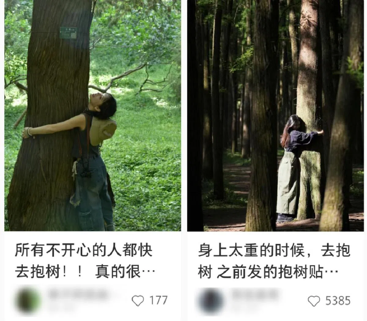 （小红书截图）