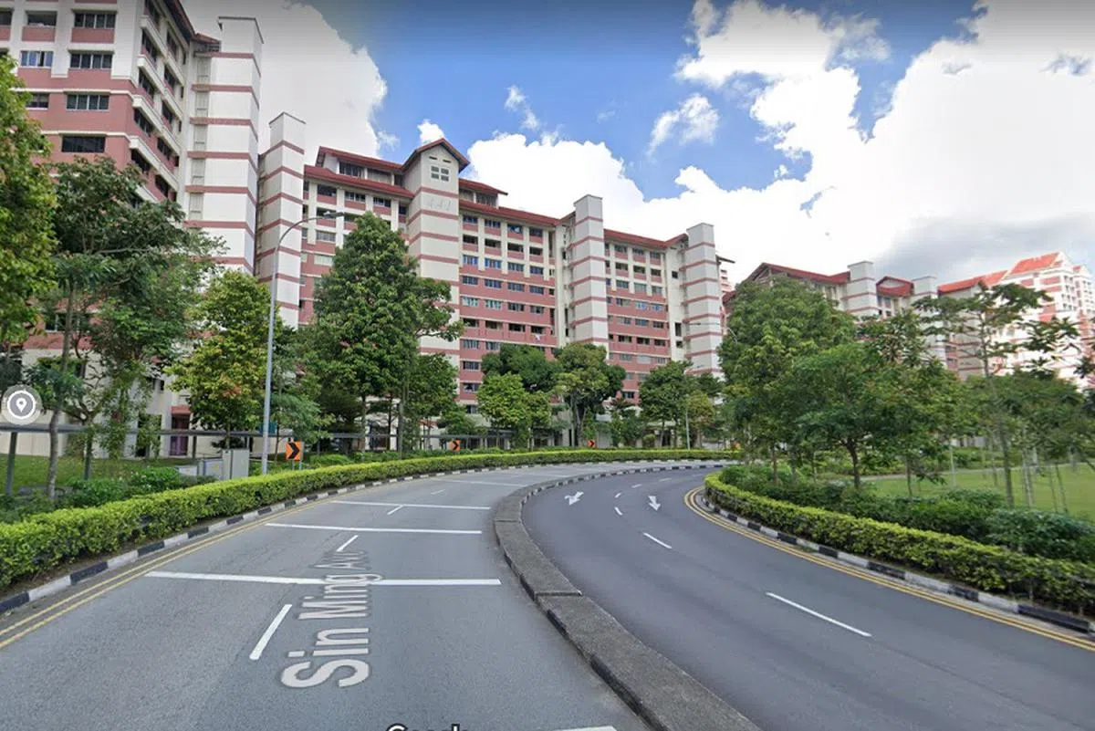 1988年，新民道有945个组屋单位竣工。（谷歌街景截图）