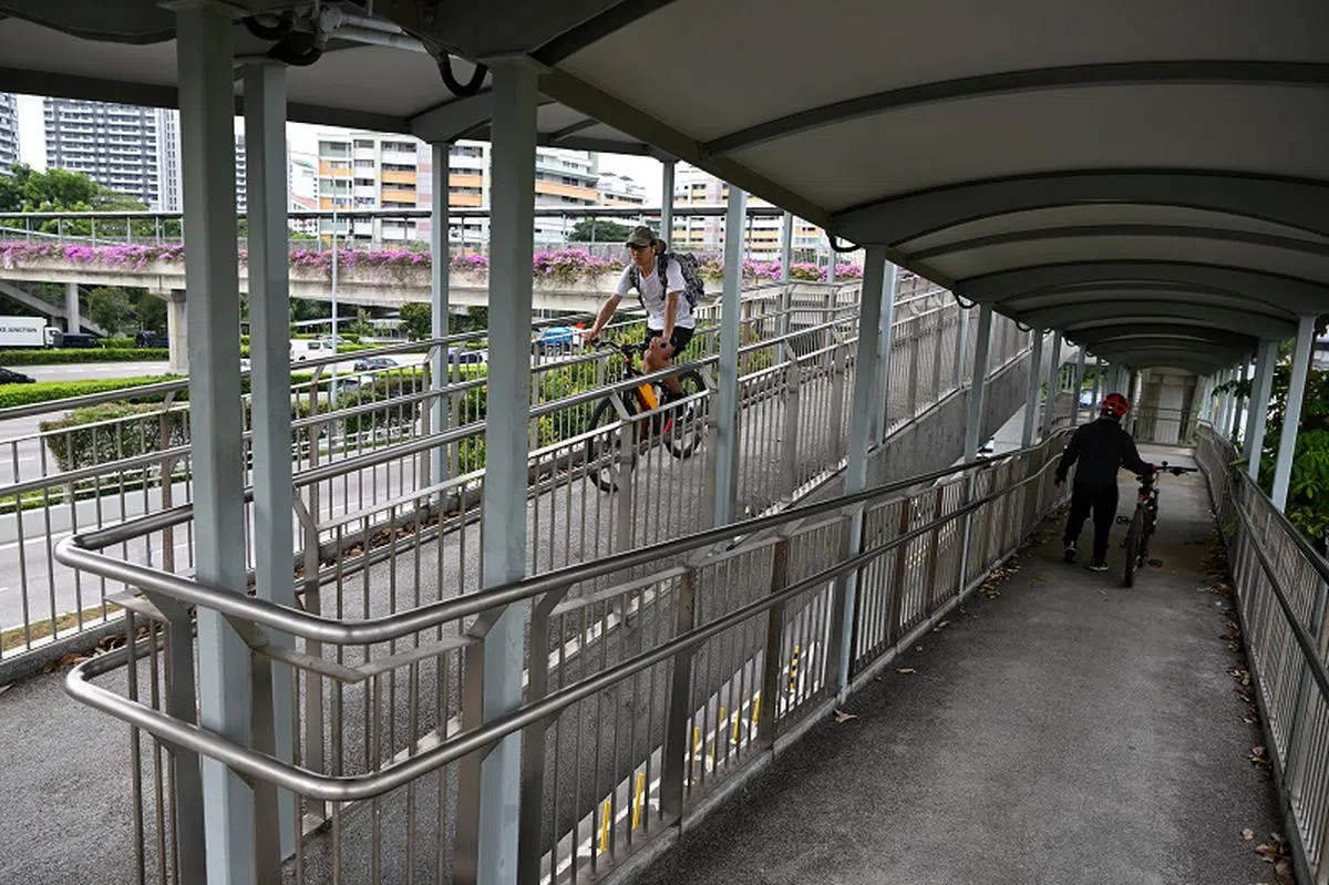 休闲骑士越来越多，通勤骑士人数却不见增长？（海峡时报）