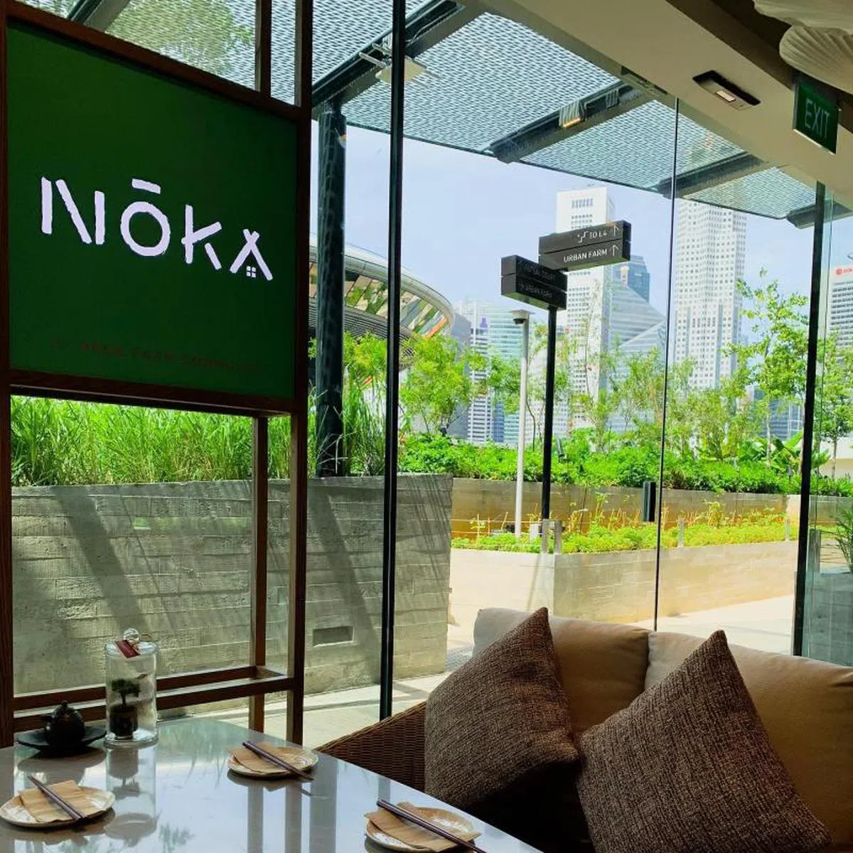  坐在座位上，窗外就是菜园，是闹市喧哗中的一片净土。（Noka面簿） 