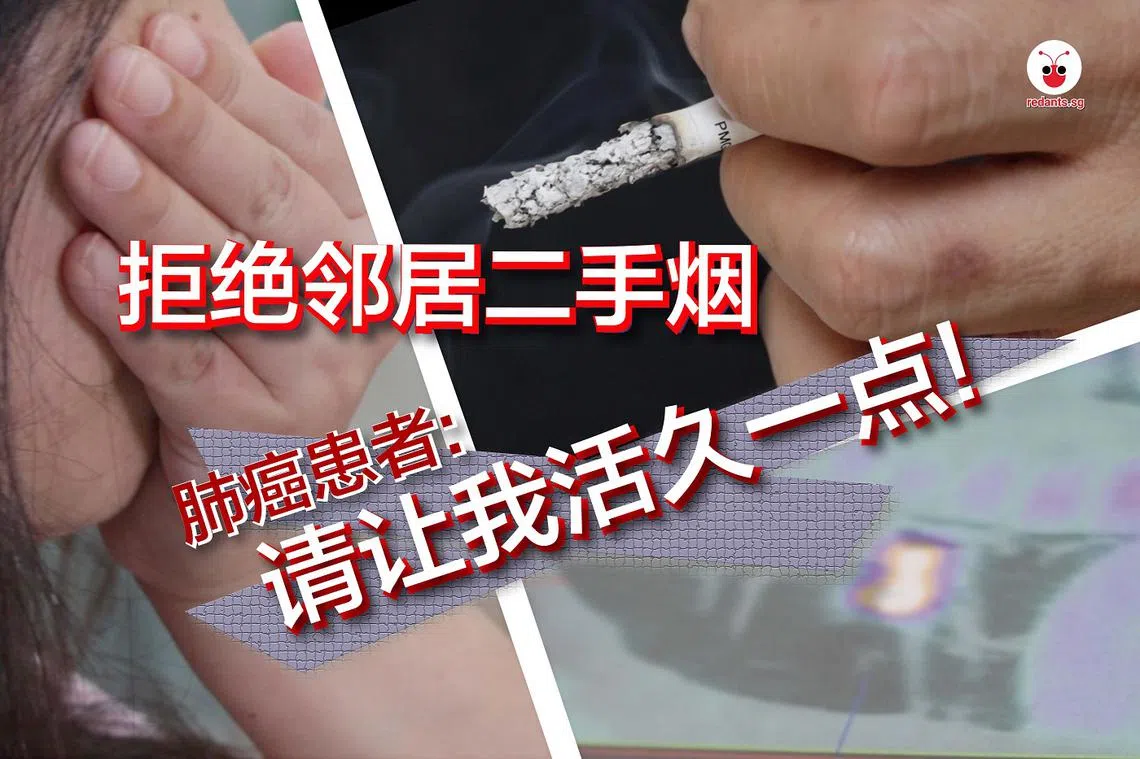 （红蚂蚁制图）