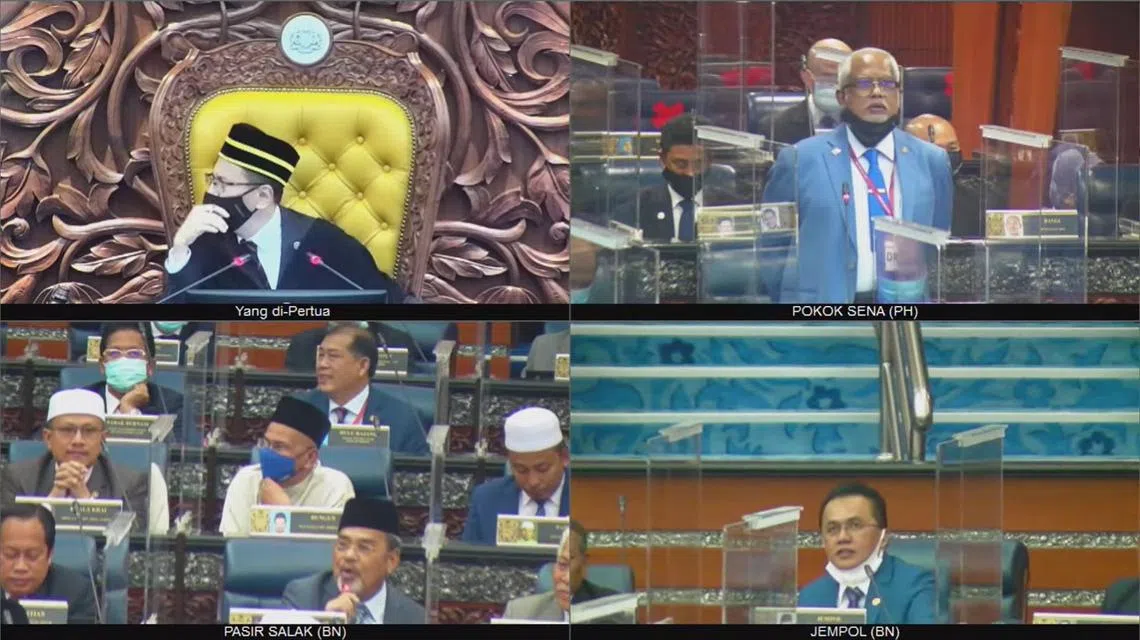 由于反对党凑不满15人要求记名投票，财案最终以声浪表决通过。（国会视频截图）