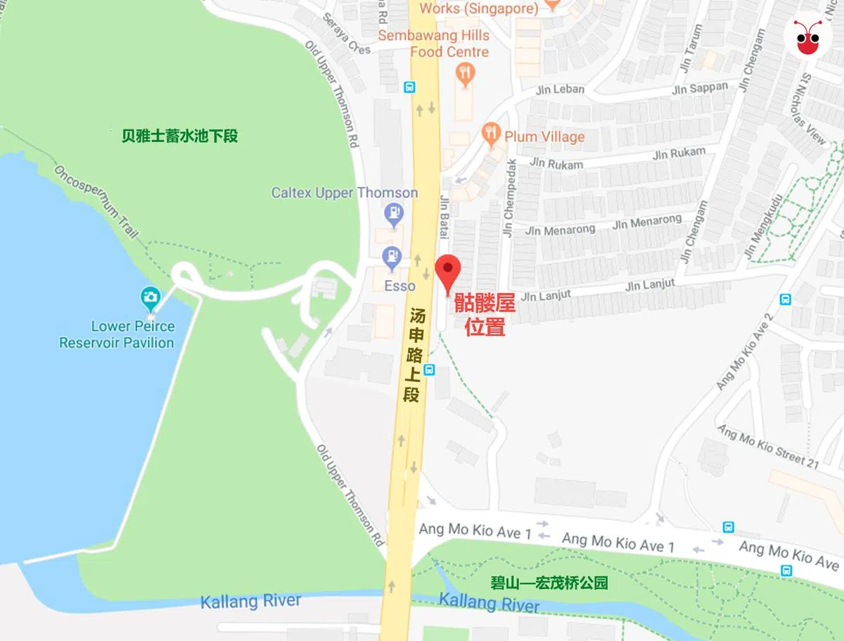  （谢静怡制图） 