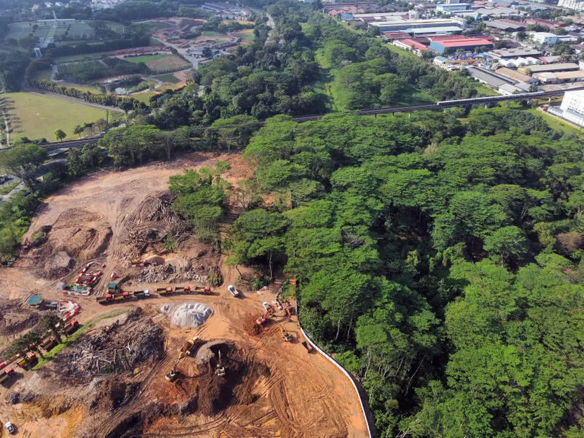  被“错误清除”的克兰芝林地，利国伟估计有超过30公顷的林地遭到砍伐。（利国伟面簿） 