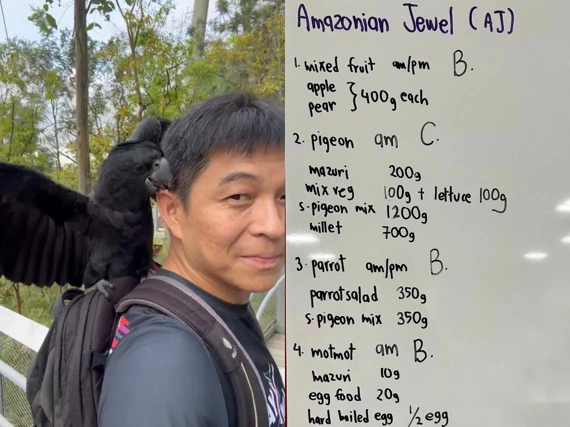 陈川仁日前到飞禽公园参观。（取自陈川仁脸书）