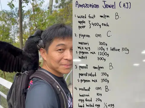 陈川仁日前到飞禽公园参观。（取自陈川仁脸书）