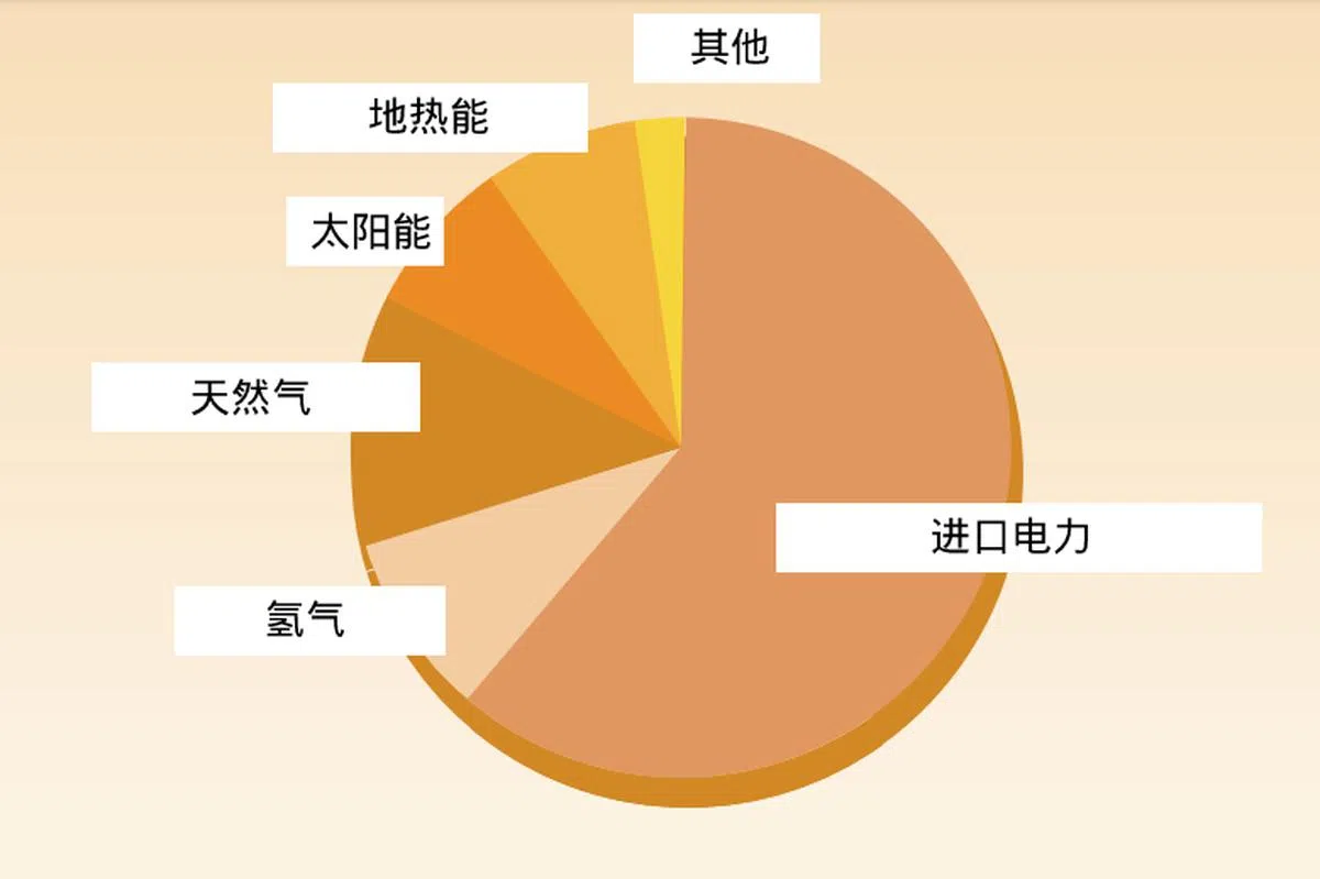 全球紧密合作，但能源科技发展迟滞下，我国的电力来源分布。（迈向能源转型2050）