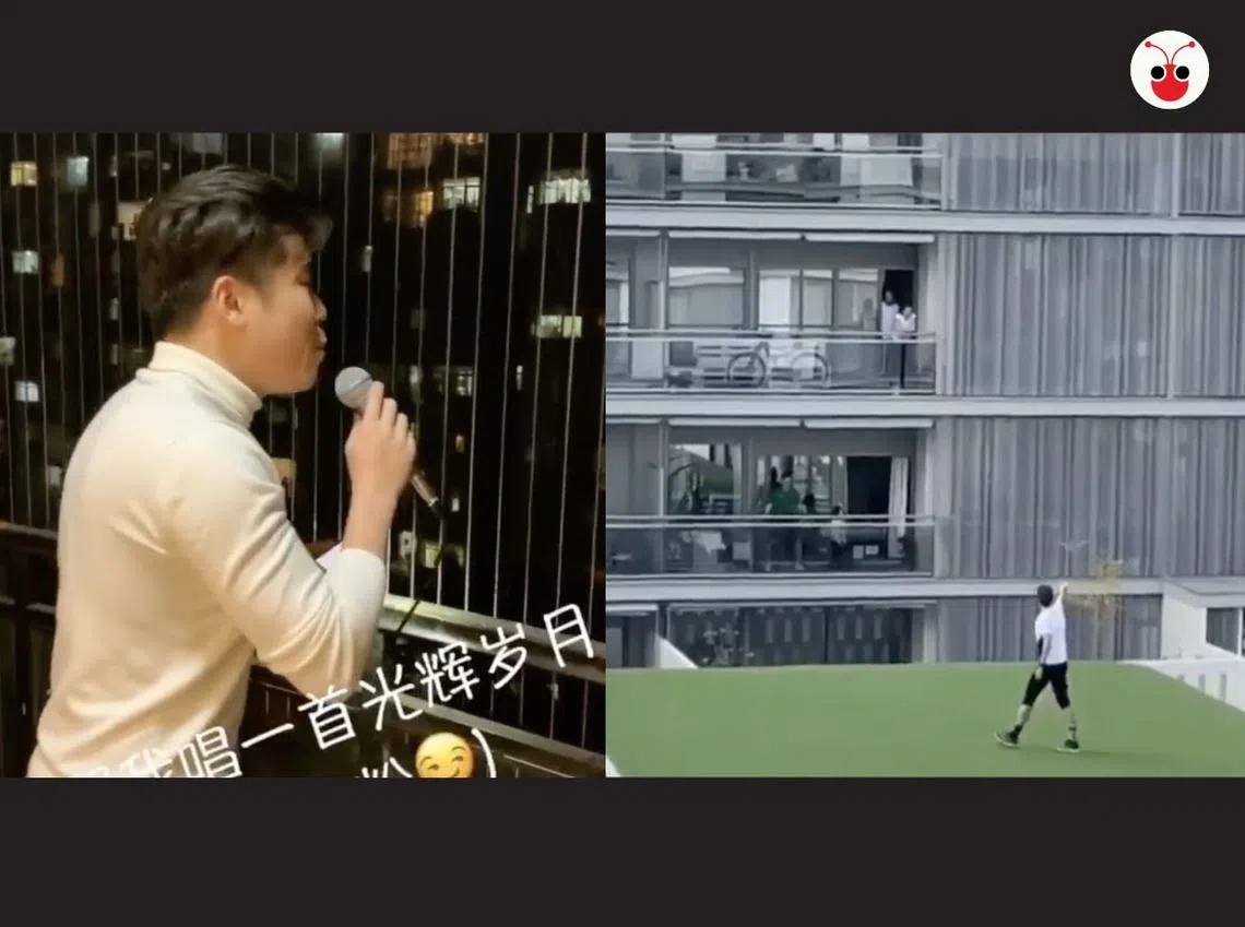 （陈姿潓制图）