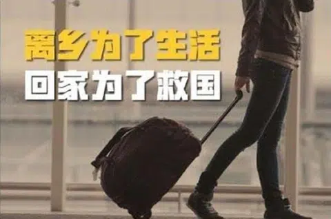 网上流传的呼吁旅居新加坡的马国选民“回家救国”的口号。（互联网）