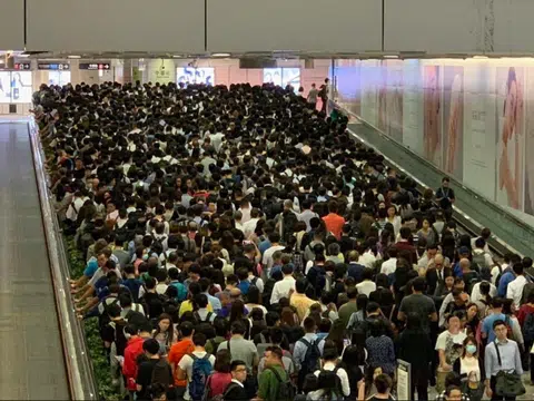 全都是人头，红蚂蚁的密集恐惧症都要犯了。（Twitter：Graham Tier)