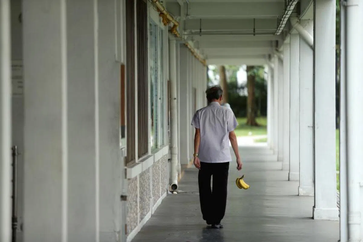  普查数据显示本地独居老人数量有增加的趋势。（联合早报） 