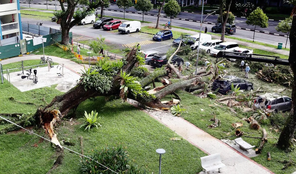  大巴窑5巷于2020年12月13日早上发生树倒压车意外，第68座组屋前的一棵老树不知何故突然倒下，砸中旁边露天停车场里的至少四辆汽车和七辆电单车。大树根断倒下多车被压毁。（联合早报） 