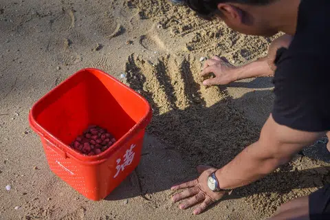 在魔鬼岛（Pulau Hantu）退潮时可以觅食蛤蜊。（海峡时报）
