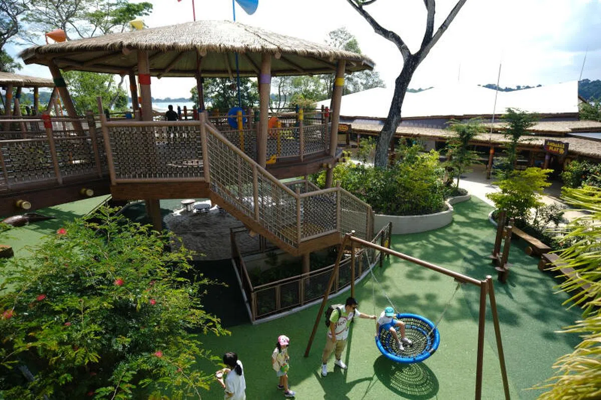 新加坡动物园在2023年10月25日为全新儿童世界（KidzWorld）揭幕，通过与动物的亲近互动，寓教于乐，培养儿童对野生动物和大自然的热爱。儿童世界的树屋游乐场Play Trees，设有两个树屋，让小朋友在自然环境中进行感官探索。(联合早报）