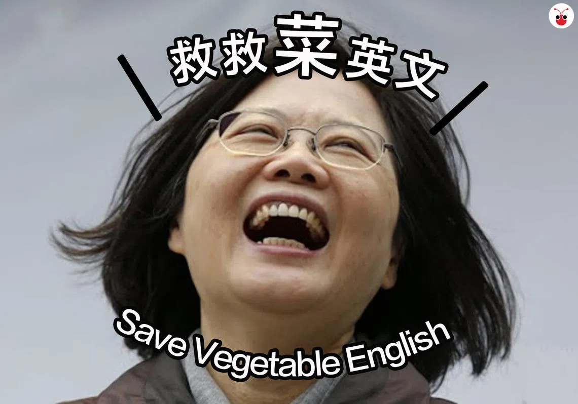 （谢静怡制图）