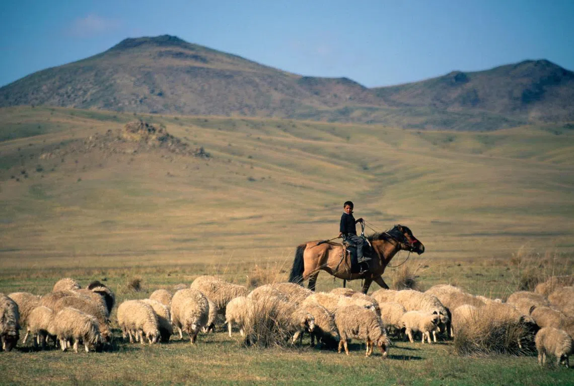蒙古至今没有发生任何本土感染病例。（互联网）