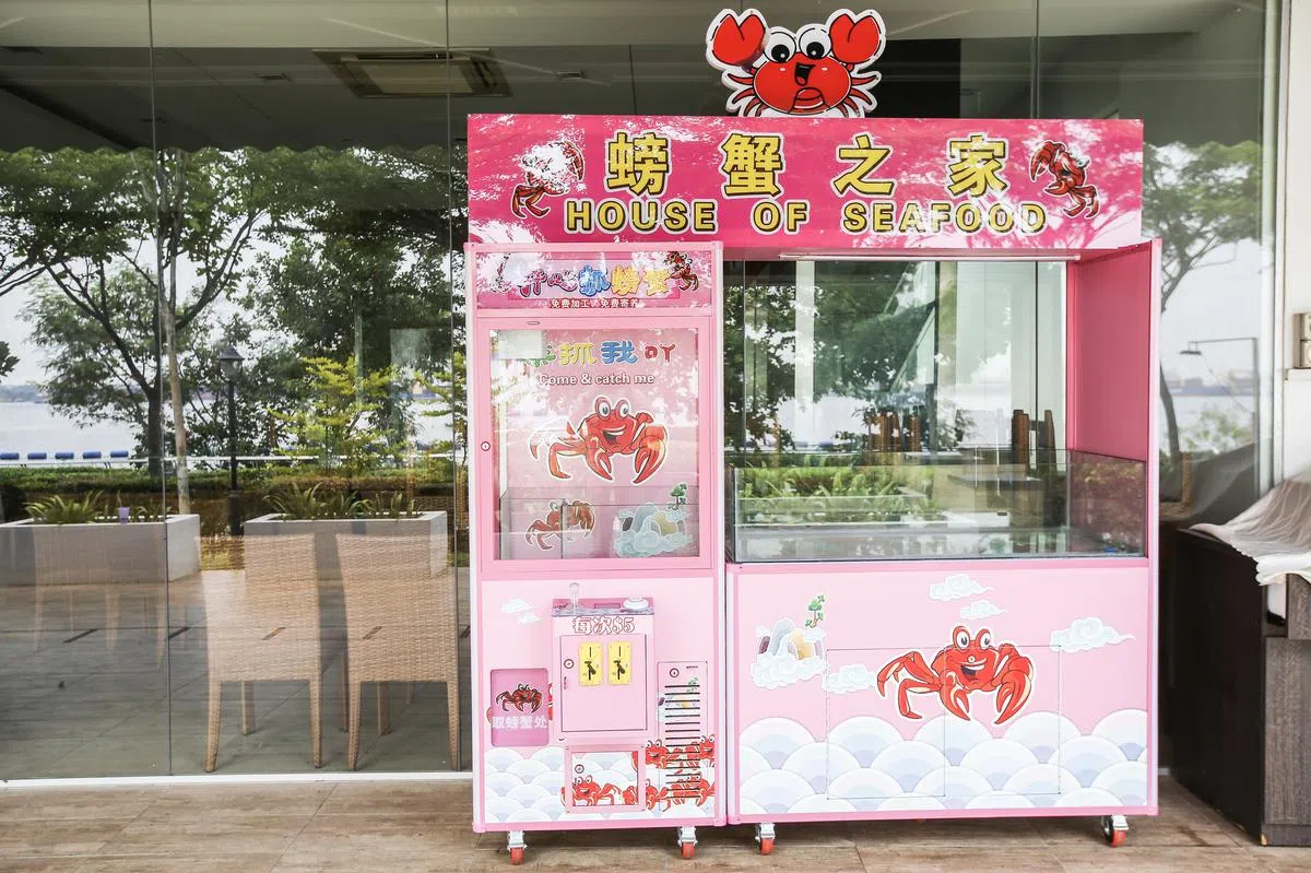 若SPCA坚决不让步，餐馆会将夹螃蟹机搬走。（联合晚报） 