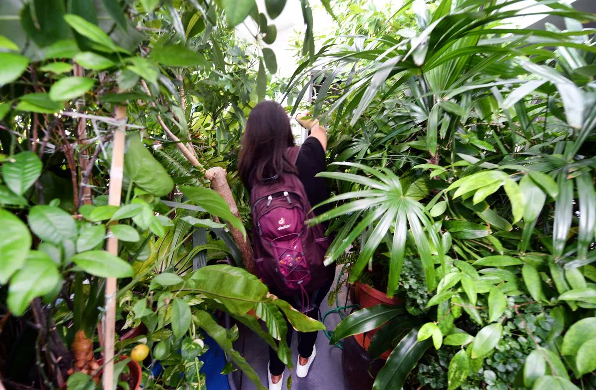  公共走廊只剩下五分之一的空间能让人通过。（联合晚报） 