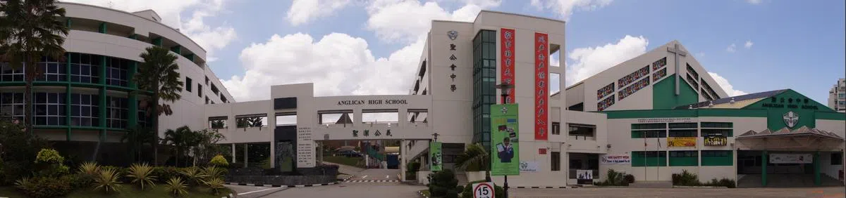  （图片由作者提供） 