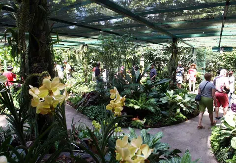  新加坡植物园内的国家胡姬花园。（联合早报）
