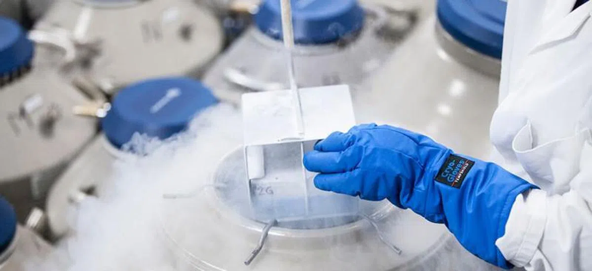 科学界目前普遍认为卵子的品质会在35岁后显著退化。（互联网）